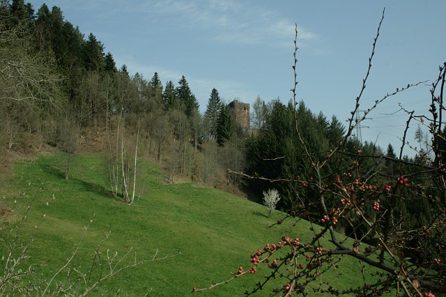 Burgenwanderung 2010 Bild 02